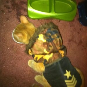 Meet your Posher, Dwayne